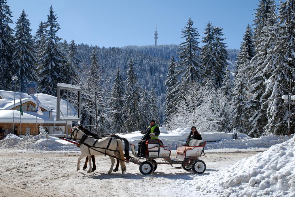 Hotel Prespa Pamporovo Bagian luar foto